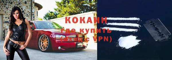 гидра Богданович