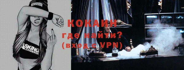 гидра Богданович
