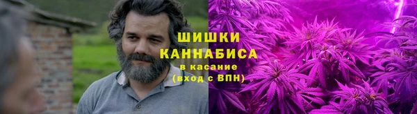 гидра Богданович