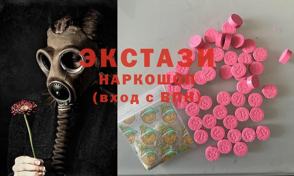 гидра Богданович