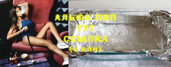 гидра Богданович