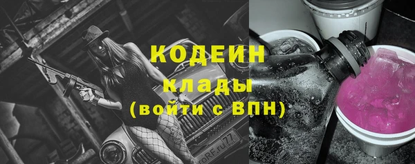гидра Богданович