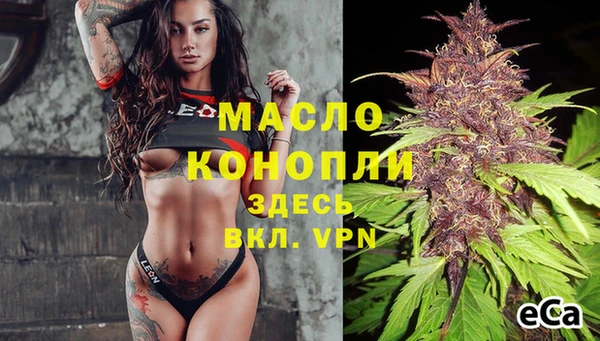 гидра Богданович